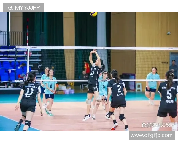 南京排球队技术实力强劲荣登全国排球技术排行榜第二名 南京排球队技术实力强劲荣登全国排球技术排行榜第二名